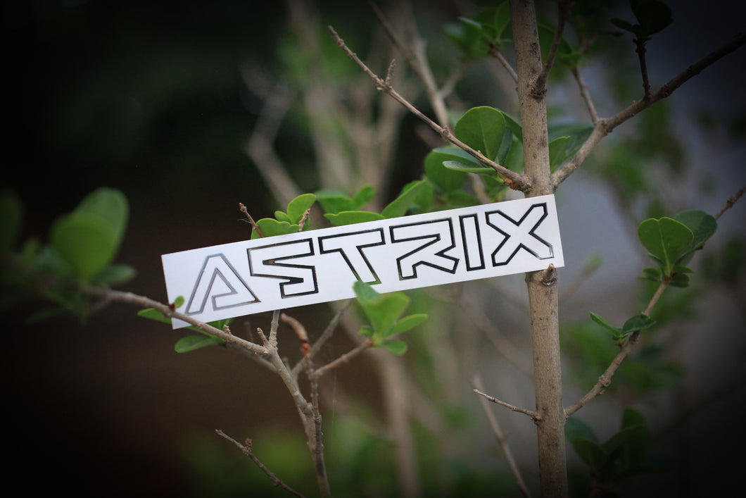 Astrix Sticker White Silver Foil
